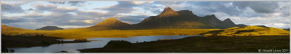 Ben Loyal
