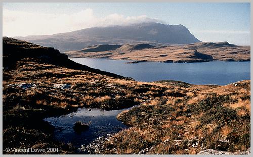 scot-45.jpg