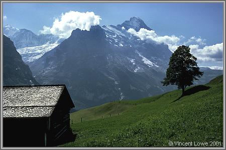 switz09.jpg